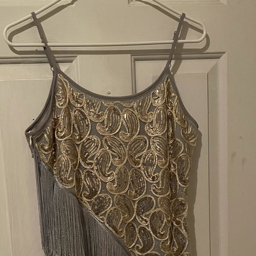 1920 flipper dress